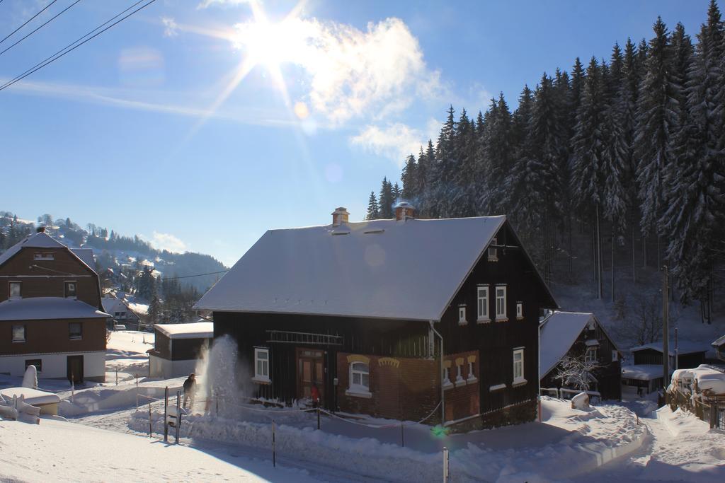 Апартаменты Ferienhaus Anno Dazumal, Wie Zu Oma'S Zeiten Клингенталь Номер фото