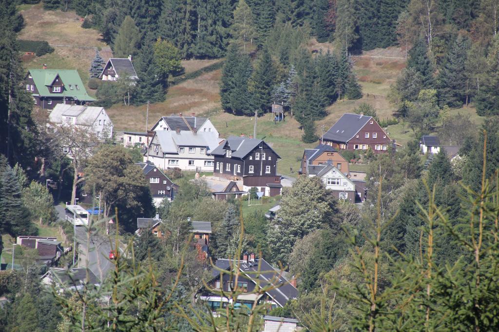 Апартаменты Ferienhaus Anno Dazumal, Wie Zu Oma'S Zeiten Клингенталь Номер фото