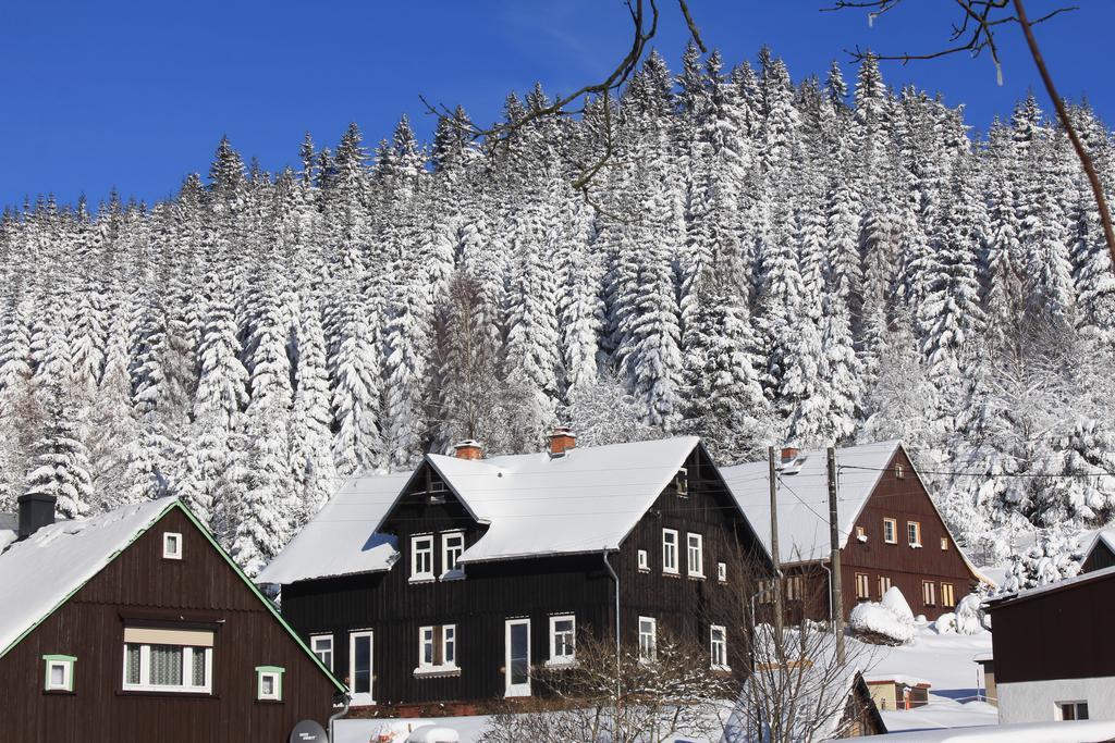 Апартаменты Ferienhaus Anno Dazumal, Wie Zu Oma'S Zeiten Клингенталь Экстерьер фото