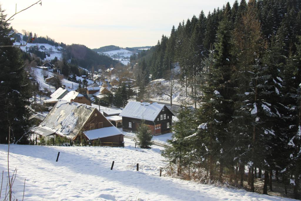 Апартаменты Ferienhaus Anno Dazumal, Wie Zu Oma'S Zeiten Клингенталь Номер фото